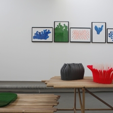 POSITIFS / DISPOSITIFS, François Dumas „Anemones“, galerie nouvelle, villa Noailles, copyright Olivier Amsellem - villa Noailles, 2011