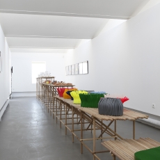 POSITIFS / DISPOSITIFS, François Dumas „Anemones“, galerie nouvelle, villa Noailles, copyright Olivier Amsellem - villa Noailles, 2011