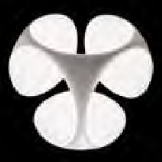 Kundalini "Clover"