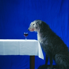 196