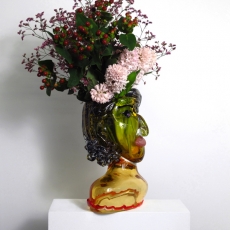 Flower Head Paola von Hugh Findletar © Hugh Findletar