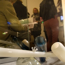 Institut francais, Ausstellung Stones&Bones von Jean-Baptiste Fastrez und Brynjar Sigurdarson, Foto: Burat