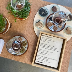 Designers Fair: House of Thol / Dutch Design Future Proof 