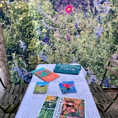 k18: The Photobook Museum / Flora 3000